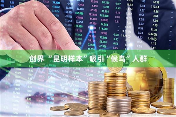 创界 “昆明样本”吸引“候鸟”人群
