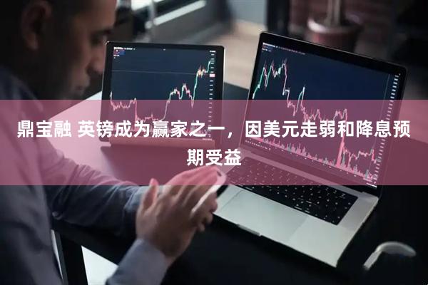 鼎宝融 英镑成为赢家之一，因美元走弱和降息预期受益