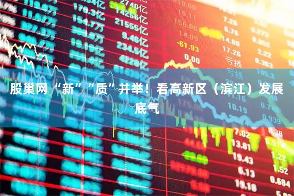 股巢网 “新”“质”并举!看高新区(滨江)发展底气