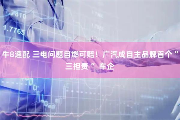 牛8速配 三电问题自燃可赔!广汽成自主品牌首个“三担责 ” 车企
